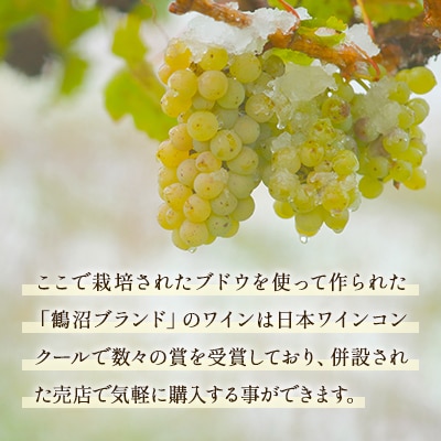 鶴沼収穫ワイン【ピノ・ブラン】白ワイン 2020年産