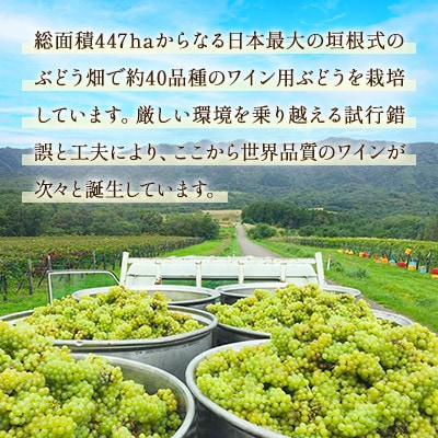 鶴沼収穫ワイン【ミュラー・トゥルガウ】白ワイン 2020年産・2021年産 各1本(合計2本)