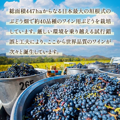 鶴沼収穫ワイン【スペシャルキュヴェ ロンド】赤ワイン 2021年産 各1本(合計2本)