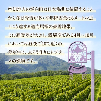 鶴沼収穫ワイン【木樽熟成 ピノ・グリOrange】オレンジワイン 2023年産　1本