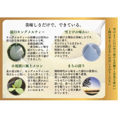 agurico　浦臼町産メロン　180ml×24本