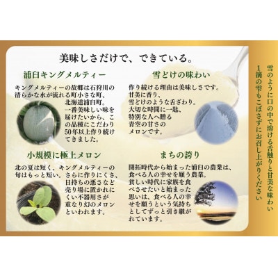 agurico　メロン飲み比べセット　180ml×24本