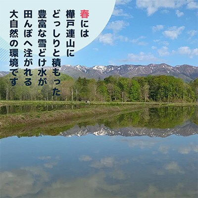 【北海道浦臼町】静川農園　米麹の甘酒6本セット(プレーン)