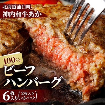 【北海道浦臼町】神内和牛あか100%ビーフハンバーグ6枚入り(2枚入り×3パック)