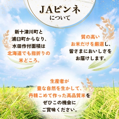 【先行予約 令和8年産】浦臼町産　ななつぼし(精米)5kg　特A