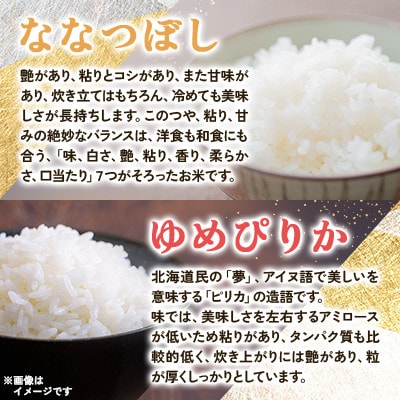 【先行予約 令和8年産】浦臼町産　食べ比べ ななつぼし・ゆめぴりか(精米)各5kg　お米