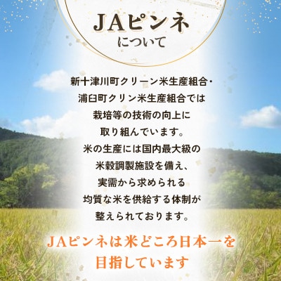 【先行予約 令和8年産】浦臼町産　食べ比べ ななつぼし・ゆめぴりか(精米)各5kg　お米