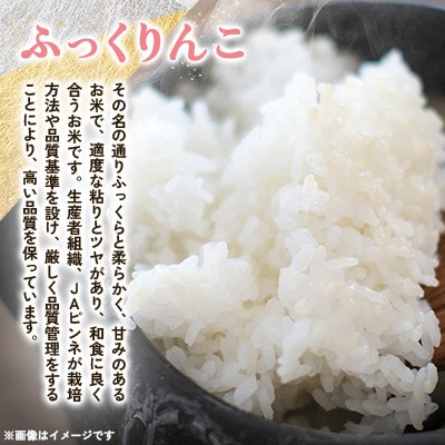 【毎月定期便】浦臼町産　ふっくりんこ(精米)10kg　特A　お米全6回