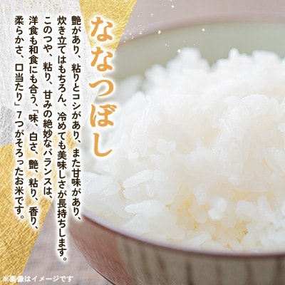 【毎月定期便】浦臼町産　ななつぼし(精米)10kg　特A　お米全2回