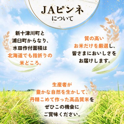 【毎月定期便】浦臼町産　ゆめぴりか(精米)5kg　特A　お米全2回