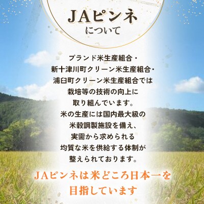 【発送月固定定期便】浦臼町産　ゆめぴりか(精米)10kg(5kg×2袋)　特A　お米全3回