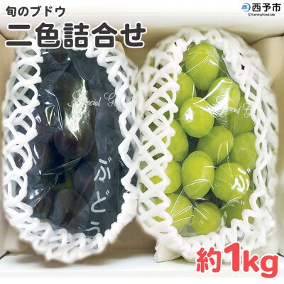 <旬のブドウ 西予市産 二色詰合せセット 約1kg>