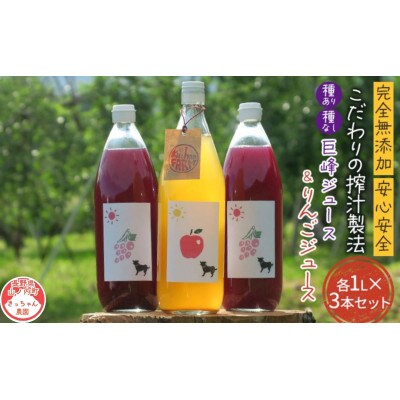完全無添加・安心安全 種ありナイアガラ/種なし巨峰/りんごのジュース 3本セット[53710428]