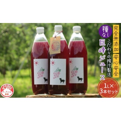 完全無添加・安心安全・こだわりの搾汁製法 種なし巨峰ジュース 3本セット[53710430]