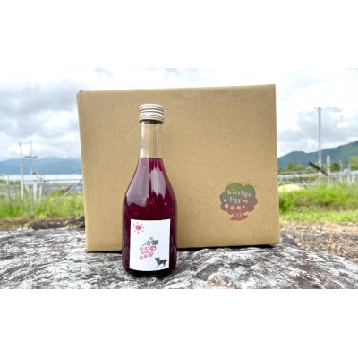 完全無添加・安心安全・こだわりの搾汁製法種あり巨峰ジュース300ml×4本セット[53710429]