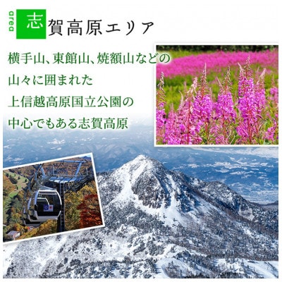 山ノ内町内宿泊補助券(2枚)1年間有効 10,000円分[53710285]