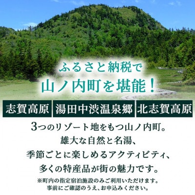 山ノ内町内宿泊補助券(6枚)1年間有効 30,000円分[53710286]
