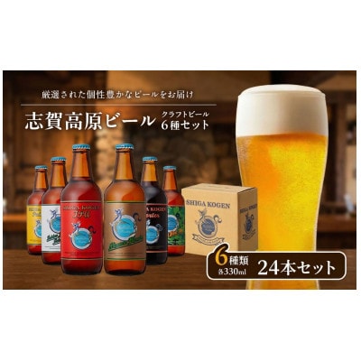 玉村本店 志賀高原ビール24本セット【クラフトビール 飲み比べセット】[53710104]