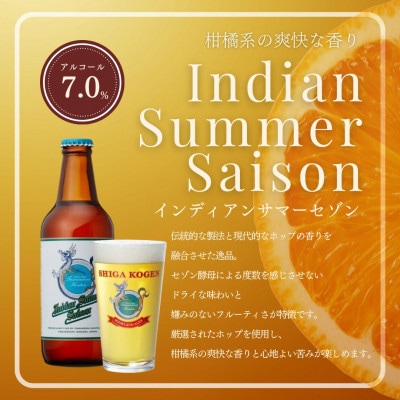 玉村本店 志賀高原ビール24本セット【クラフトビール 飲み比べセット】[53710104]