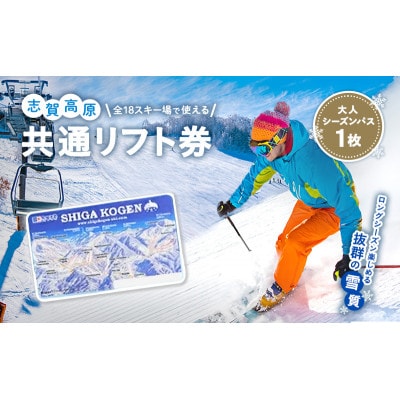 2024-25 志賀高原スキー場共通リフト券 シーズンパス大人1名[53710379]