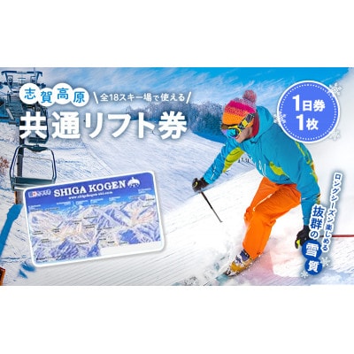 2025-26 志賀高原スキー場共通リフト券 1日券1枚[53710443]