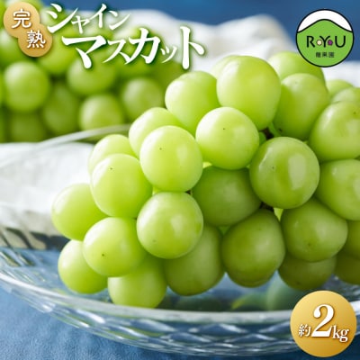 完熟シャインマスカット入り種無しぶどう詰め合わせ 2kg