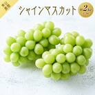 【先行予約】【数量限定】 シャインマスカット 約2kg 〔2025年8月下旬より順次発送〕