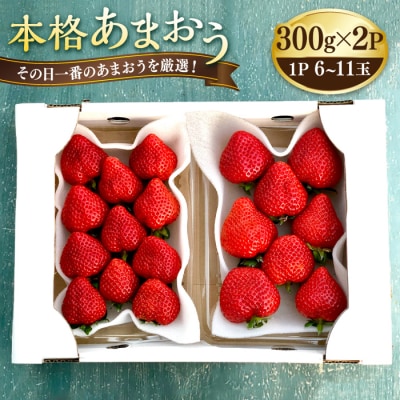 本格あまおう 300g×2パック いちご 苺 糸島市 / みのりのりん [ABD002]