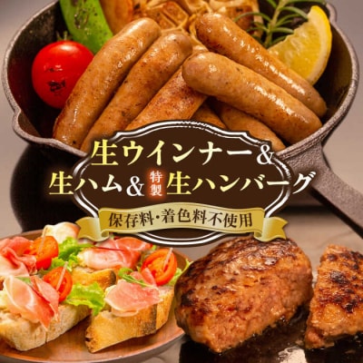 特製 生ハンバーグ 生ハム 生ウインナー 3種セット 志摩スモークハウス [AOA028]