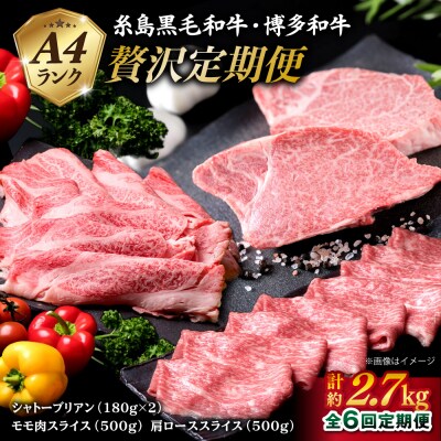 【全6回】シャトーブリアン180g×2枚&黒毛和牛肩ロース500g&モモ肉500g[ACA107]