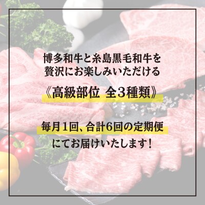 【全6回】シャトーブリアン180g×2枚&黒毛和牛肩ロース500g&モモ肉500g[ACA107]