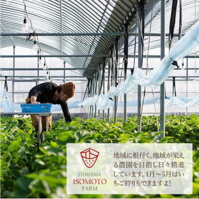 【2024年・年内発送】糸島の美味いあまおう(270g×2P)A品B品含む3L-5L[ATB021]