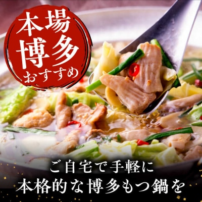 博多華味鳥 黒もつ鍋セット 醤油味 3~4人前 糸島市 トリゼンダイニング [AIB002]