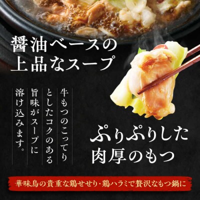 博多華味鳥 黒もつ鍋セット 醤油味 3～4人前 糸島市 トリゼンダイニング [AIB002]