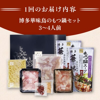 【全3回定期便】博多 華味鳥  もつ鍋セット(醤油味) 3-4人前 糸島市[AIB004]