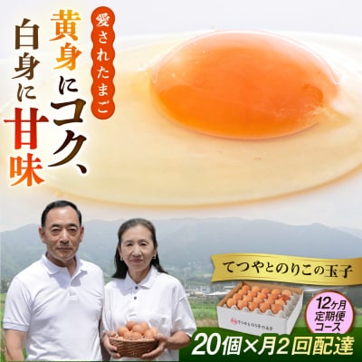 《月2回×20個 12ヶ月コース》てつやとのりこの玉子 全24回定期便 [AWD014]