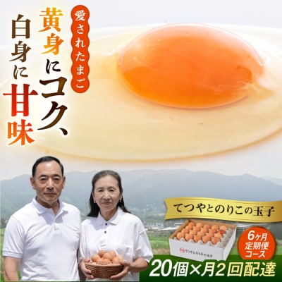 《月2回×20個 6ヶ月コース》 卵 てつやとのりこの玉子 全12回定期便 [AWD013]