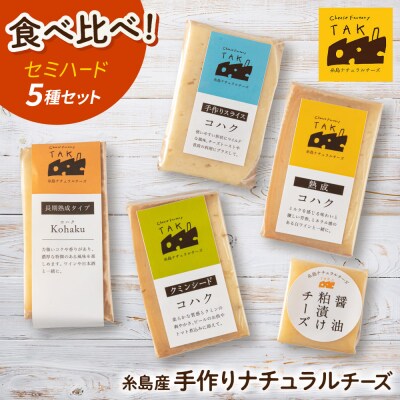 糸島産生乳100%使用チーズ5種セット[AYC003]