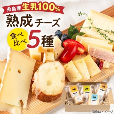 糸島産生乳100%使用チーズ5種セット[AYC003]