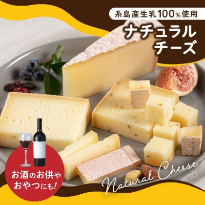 糸島産生乳100%使用チーズ5種セット[AYC003]