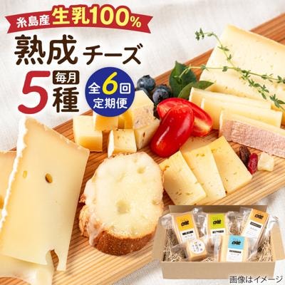 【全6回定期便】糸島産生乳100%手作りチーズ5種セット  [AYC012]