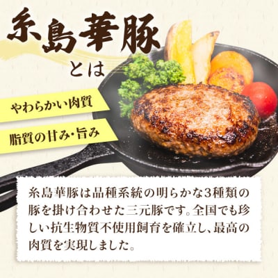 A4ランク博多和牛ヒレ肉サイコロ ステーキ 300g/生ハンバーグ130g×3個 [ACA052]