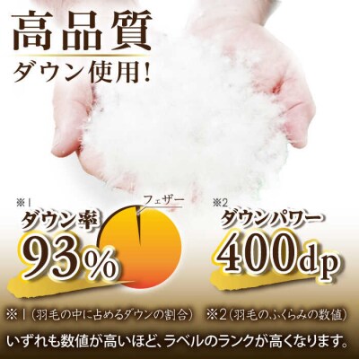 【年内発送】【訳あり】【糸島羽毛ふとん】柄おまかせダウン93%【シングル】 [AYM008]