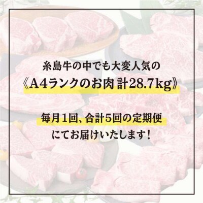 【定期便】A4ランク 福岡県産糸島黒毛和牛食べ比べセット  毎月1回 合計5回 [ACA075]