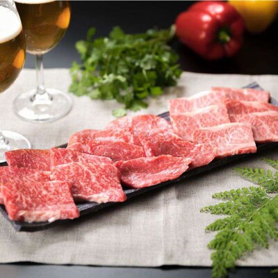 【定期便】A4ランク 福岡県産糸島黒毛和牛食べ比べセット  毎月1回 合計5回 [ACA075]