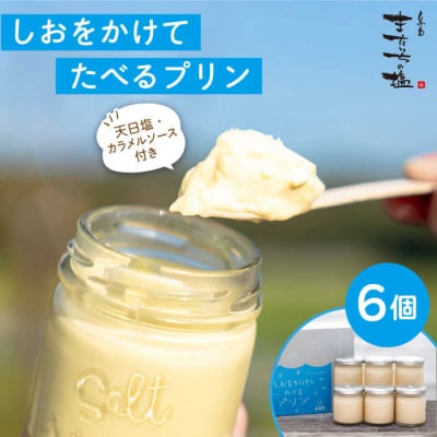 しおが主役 しおをかけてたべる プリン 花塩 プレーン 6個セット  [AEB001]