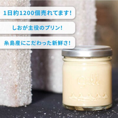 しおが主役 しおをかけてたべる プリン 花塩 プレーン 6個セット  [AEB001]