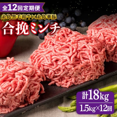 【全12回定期便】【牛豚合挽ミンチ】A4ランク糸島黒毛和牛/糸島華豚 合計1.5kg[ACA265]