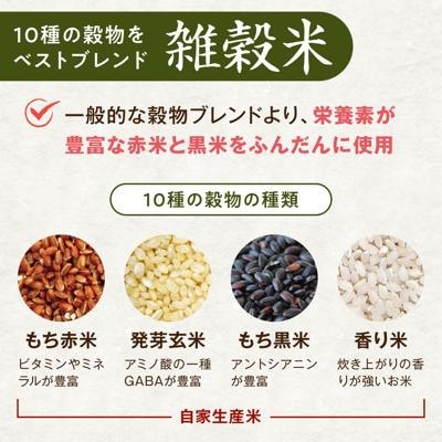 雑穀米 健康ごはんのお米セット 900g(300g×3P)  黒米 [ABB017]