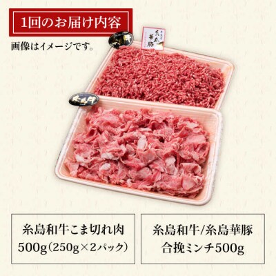 【全12回定期便】糸島和牛小間切れ500g&糸島和牛糸島豚合挽ミンチ 500g[ACA239]